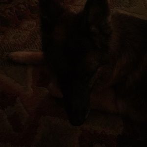 Meet your Posher, Terrie